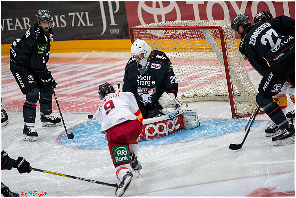 Koelner Haie - Duesseldorfer EG, 18.12.2016